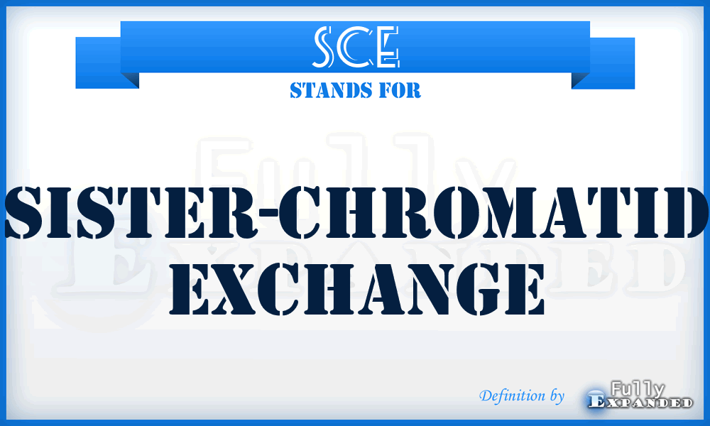 SCE - sister-chromatid exchange