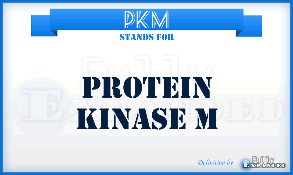 PKM - Protein Kinase M