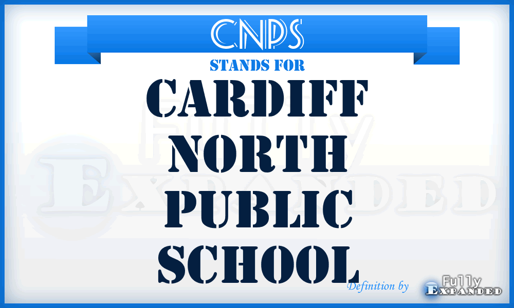 CNPS - Cardiff North Public School