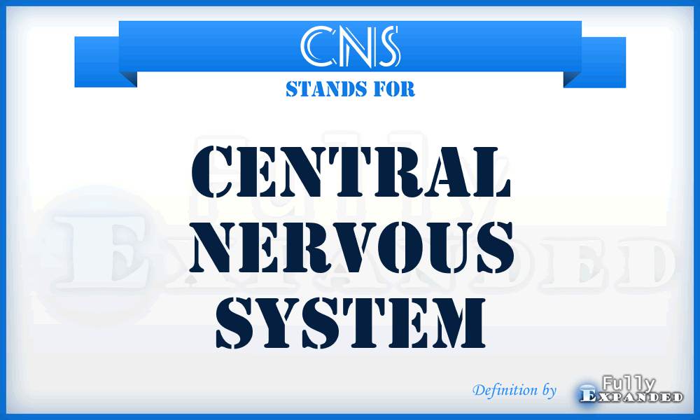 CNS - Central Nervous System