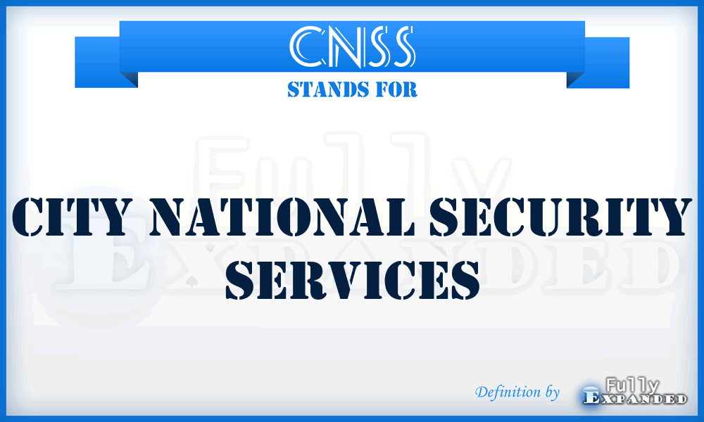 CNSS - City National Security Services