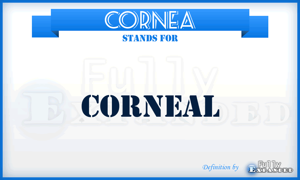 CORNEA - Corneal