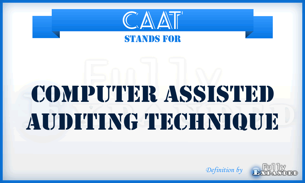 CAAT - Computer Assisted Auditing Technique