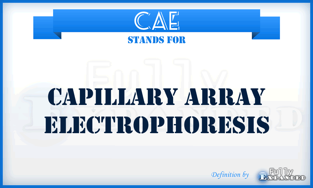 CAE - Capillary Array Electrophoresis