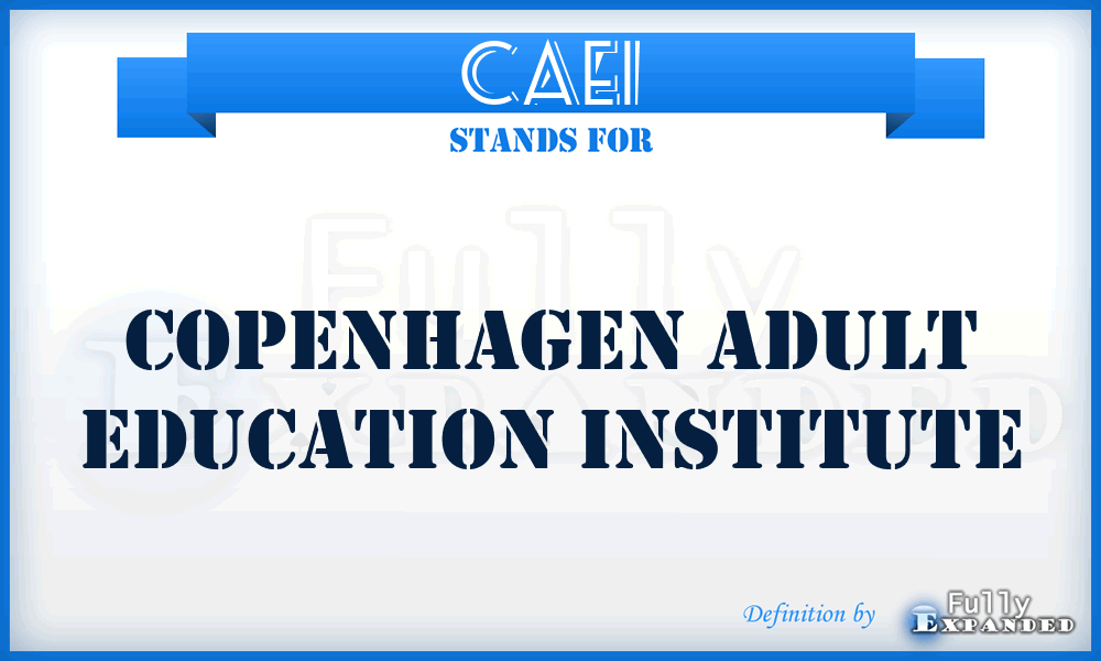 CAEI - Copenhagen Adult Education Institute