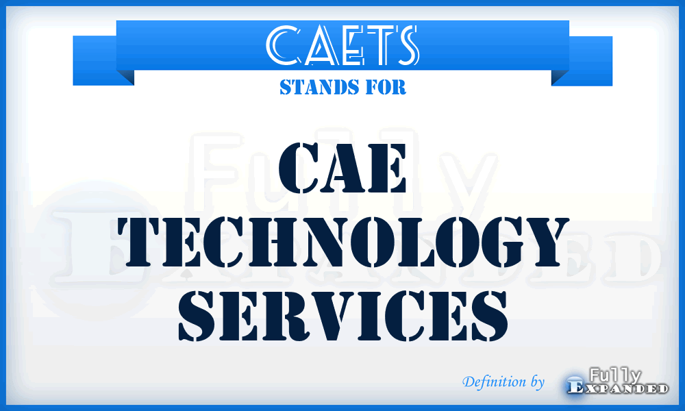 CAETS - CAE Technology Services
