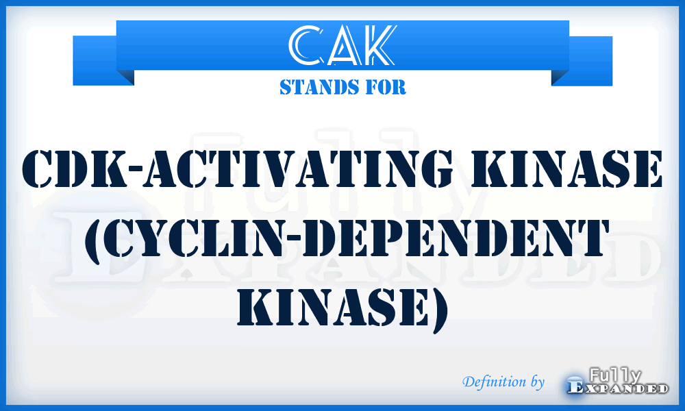 CAK - CDK-activating kinase (cyclin-dependent kinase)