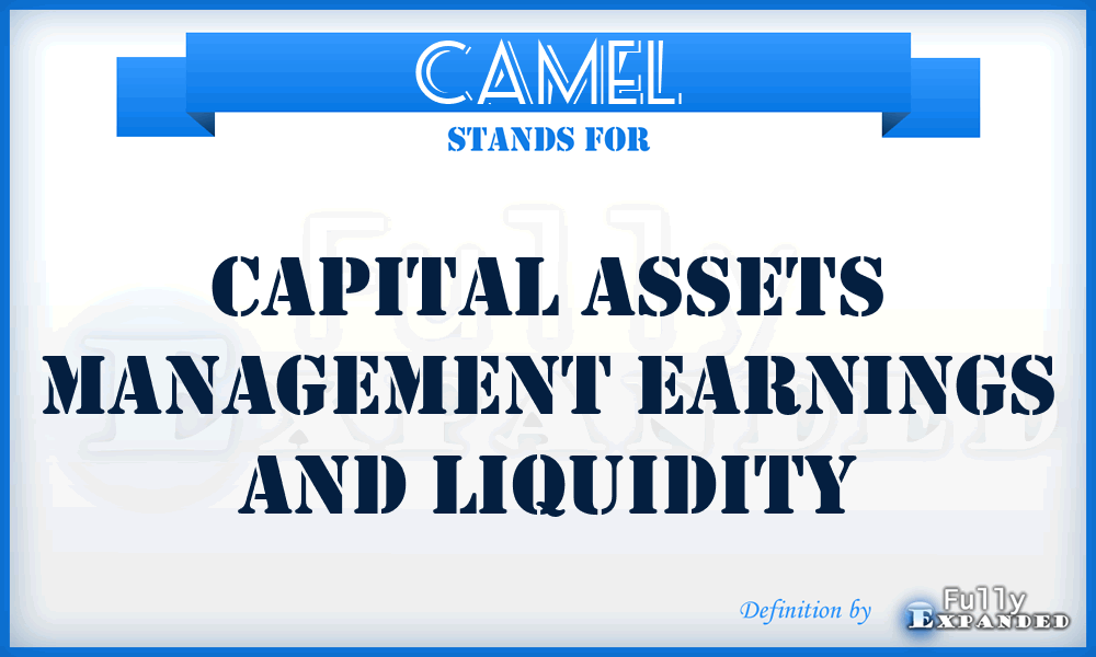 CAMEL - Capital Assets Management Earnings And Liquidity