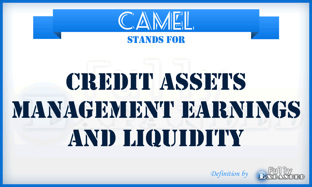 CAMEL - Credit Assets Management Earnings And Liquidity