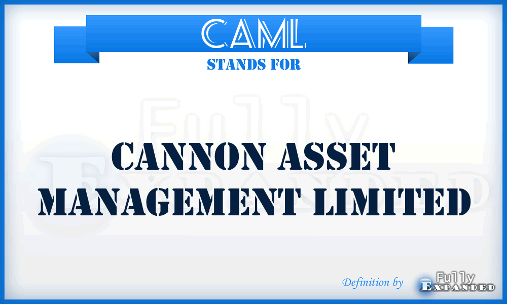 CAML - Cannon Asset Management Limited