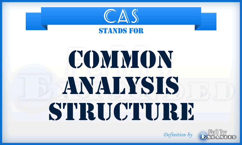 CAS - Common Analysis Structure