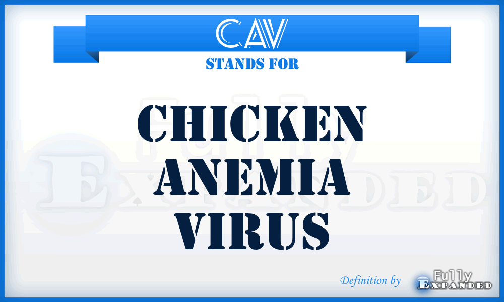 CAV - chicken anemia virus