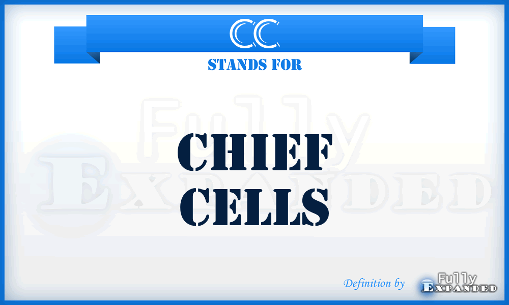 CC - chief cells