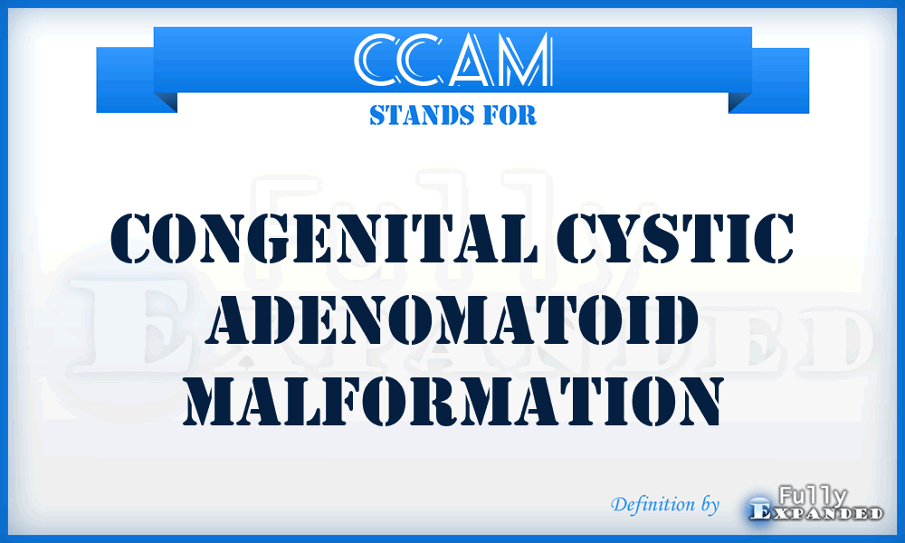 CCAM - Congenital Cystic Adenomatoid Malformation