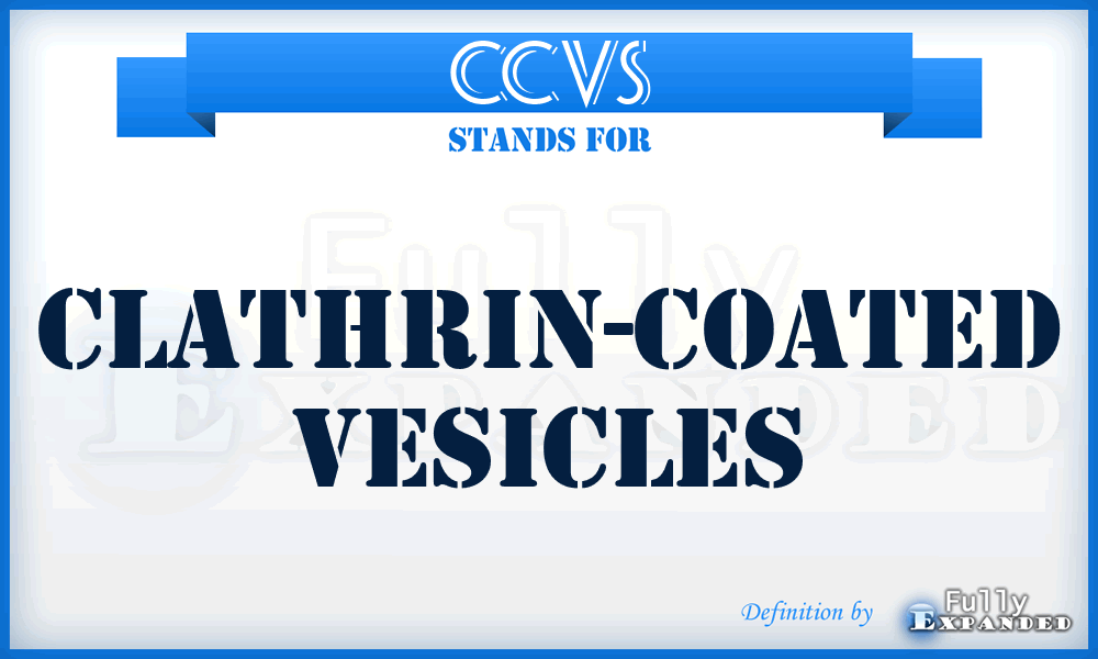 CCVs - clathrin-coated vesicles