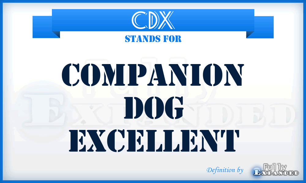 CDX - Companion Dog Excellent
