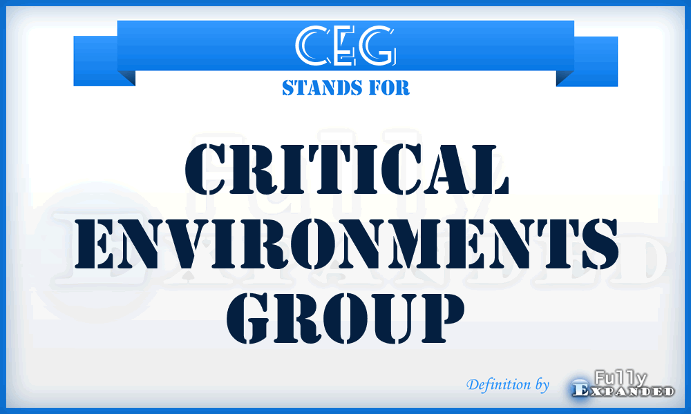 CEG - Critical Environments Group