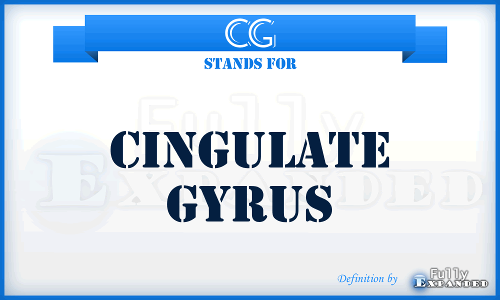 CG - cingulate gyrus