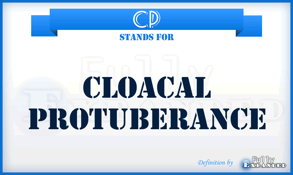 CP - Cloacal Protuberance