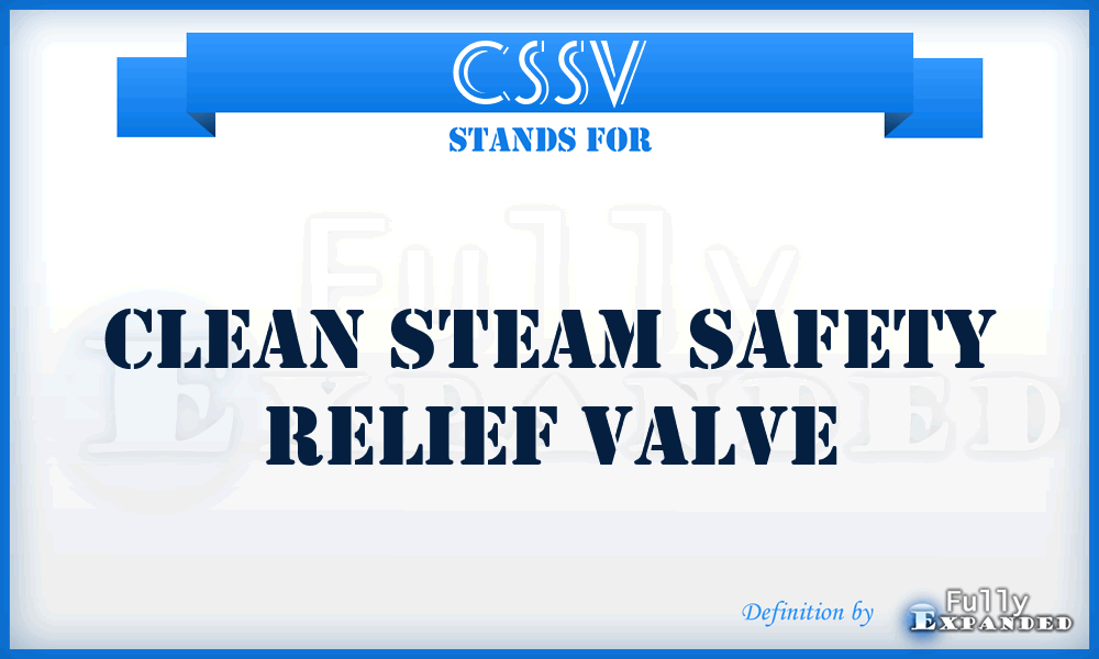 CSSV - Clean Steam Safety relief Valve