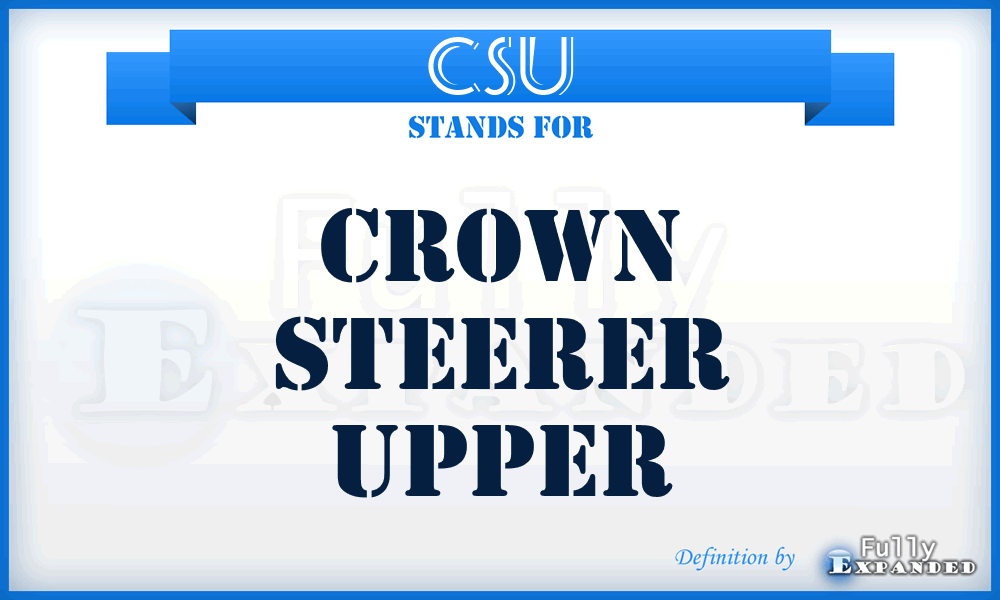 CSU - Crown Steerer Upper
