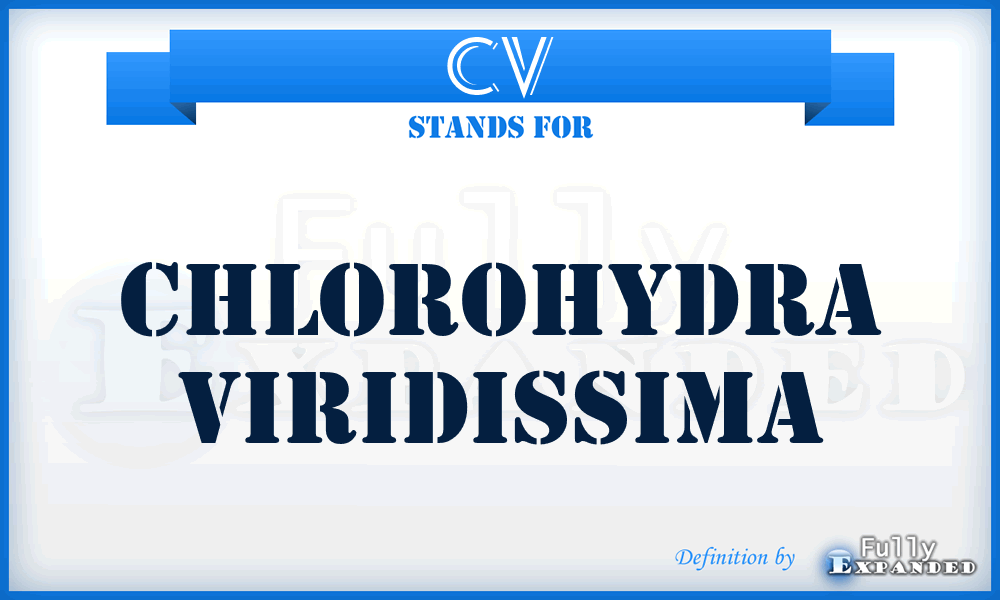 CV - Chlorohydra Viridissima