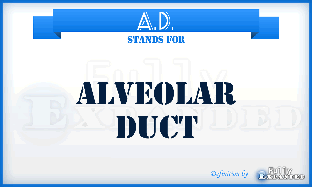 A.D. - alveolar duct