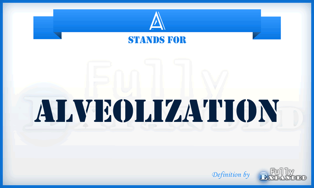 A - Alveolization