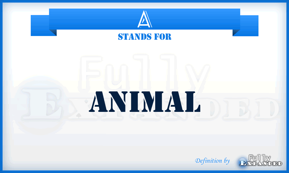 A - animal