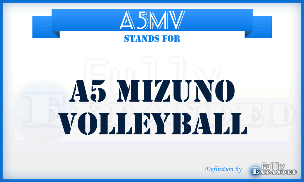 A5MV - A5 Mizuno Volleyball
