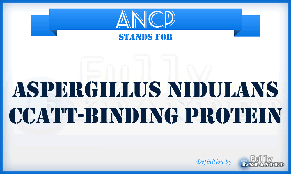 ANCP - Aspergillus nidulans CCATT-binding Protein