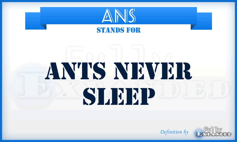 ANS - Ants Never Sleep