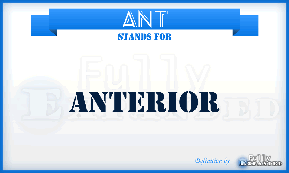 ANT - Anterior