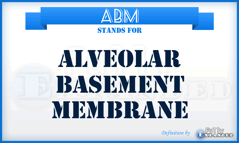 ABM - alveolar basement membrane