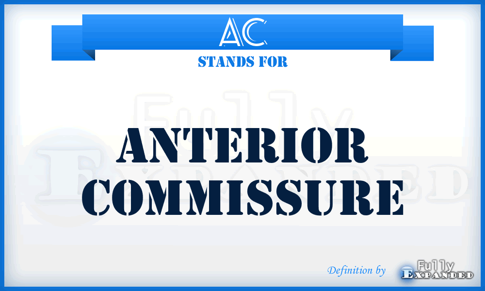 AC - anterior commissure