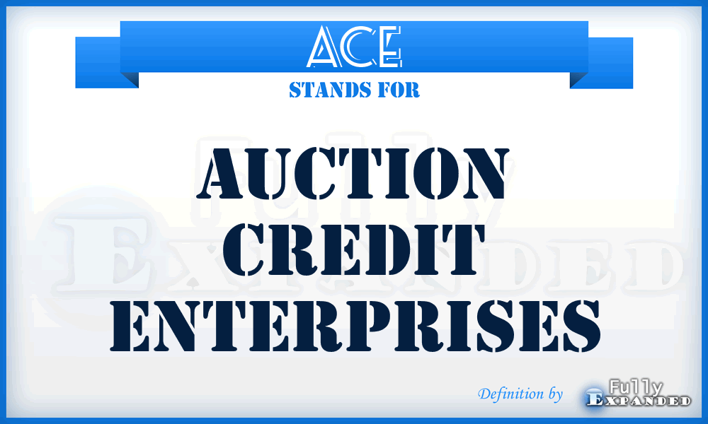 ACE - Auction Credit Enterprises