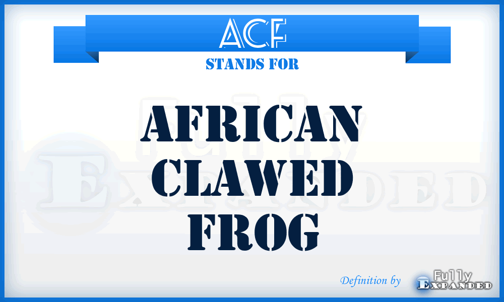 ACF - African Clawed Frog