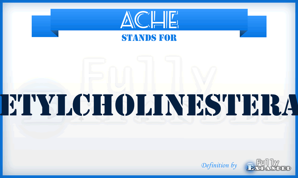 AChE - AcetylCholinEsterase