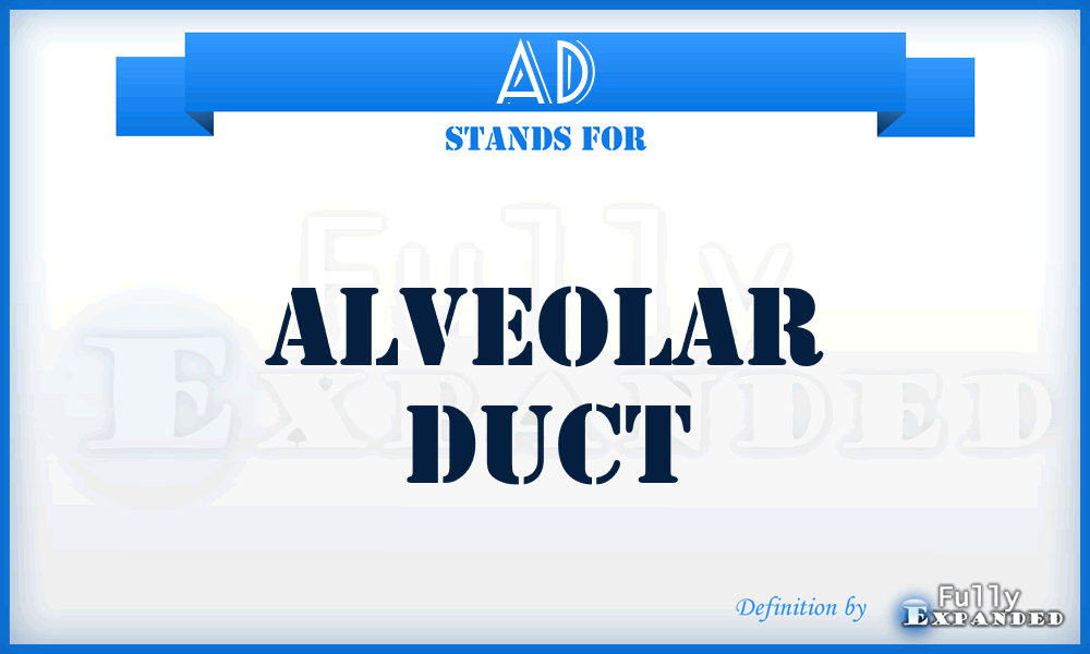 AD - alveolar duct