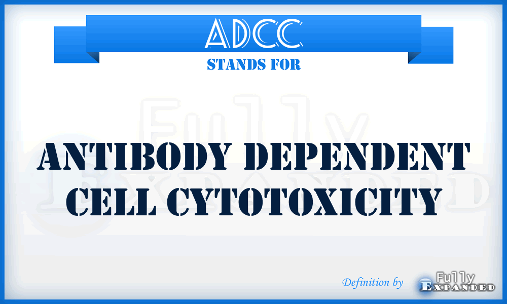 ADCC - antibody dependent cell cytotoxicity