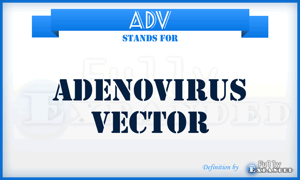 ADV - adenovirus vector
