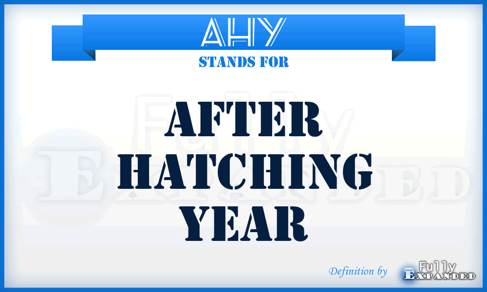 AHY - After Hatching Year