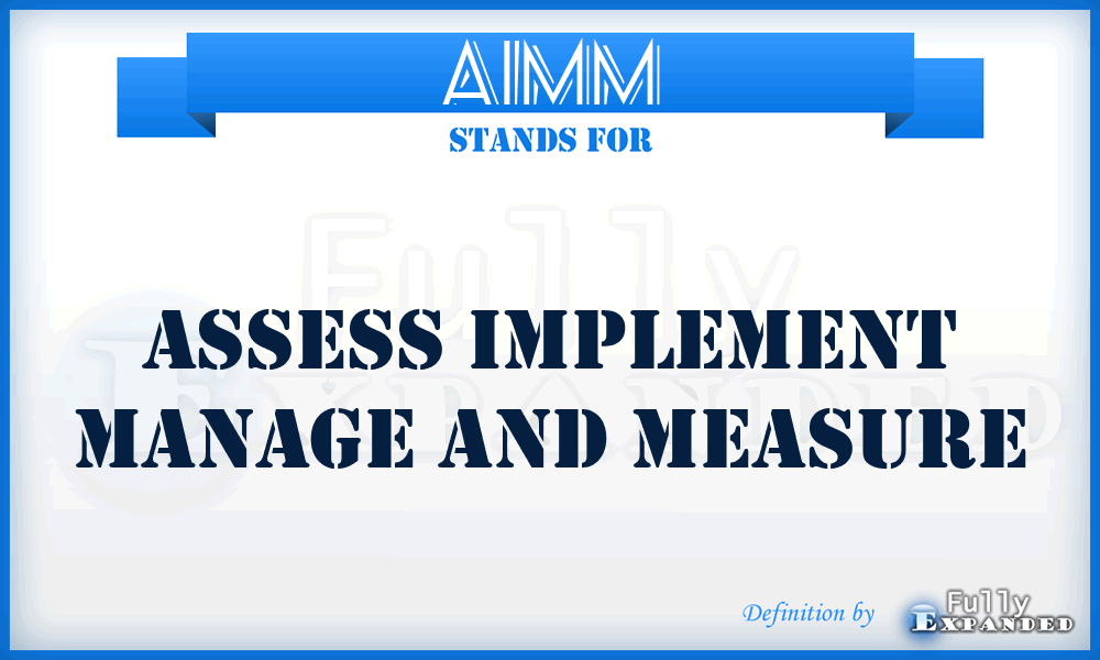 AIMM - Assess Implement Manage And Measure