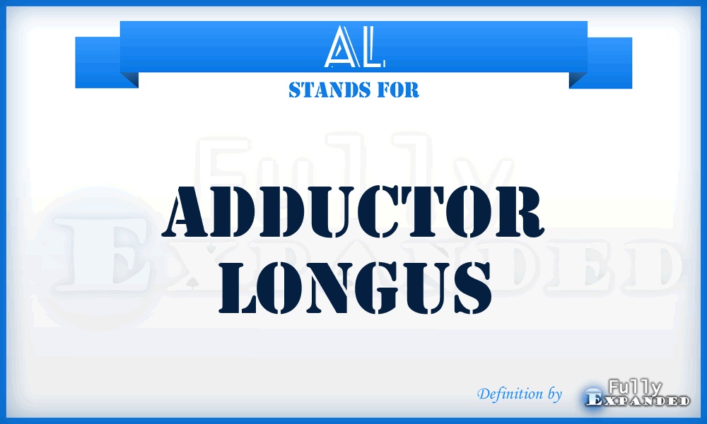 AL - adductor longus