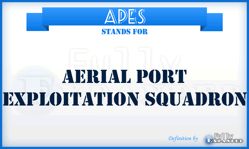 APES - aerial port exploitation squadron
