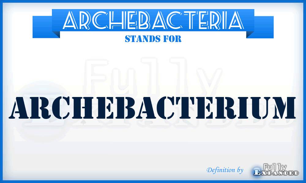 ARCHEBACTERIA - archebacterium