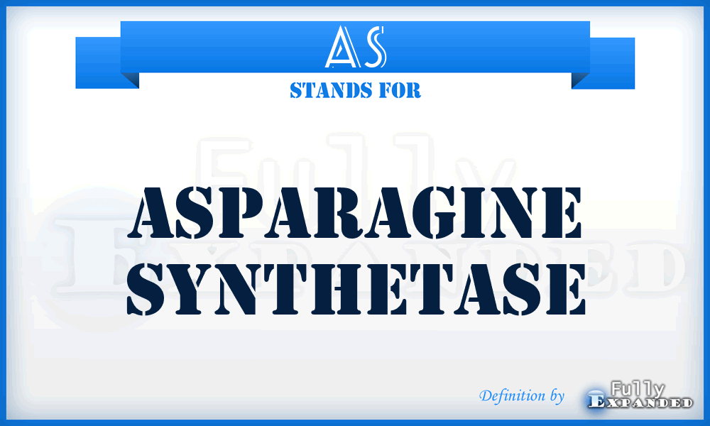 AS - Asparagine Synthetase