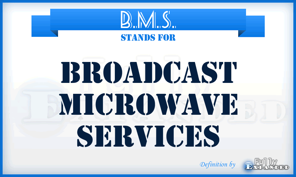 B.M.S. - Broadcast Microwave Services