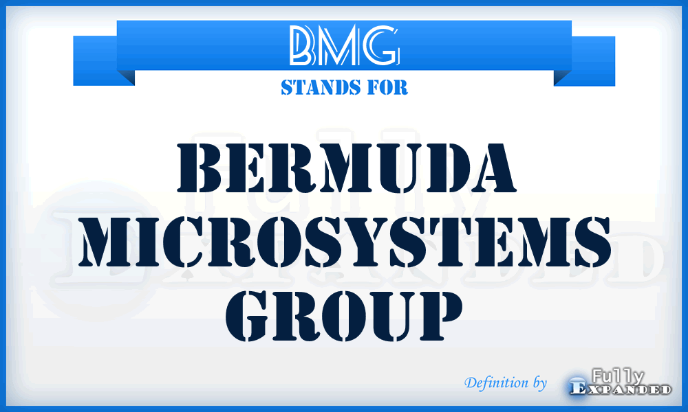 BMG - Bermuda Microsystems Group