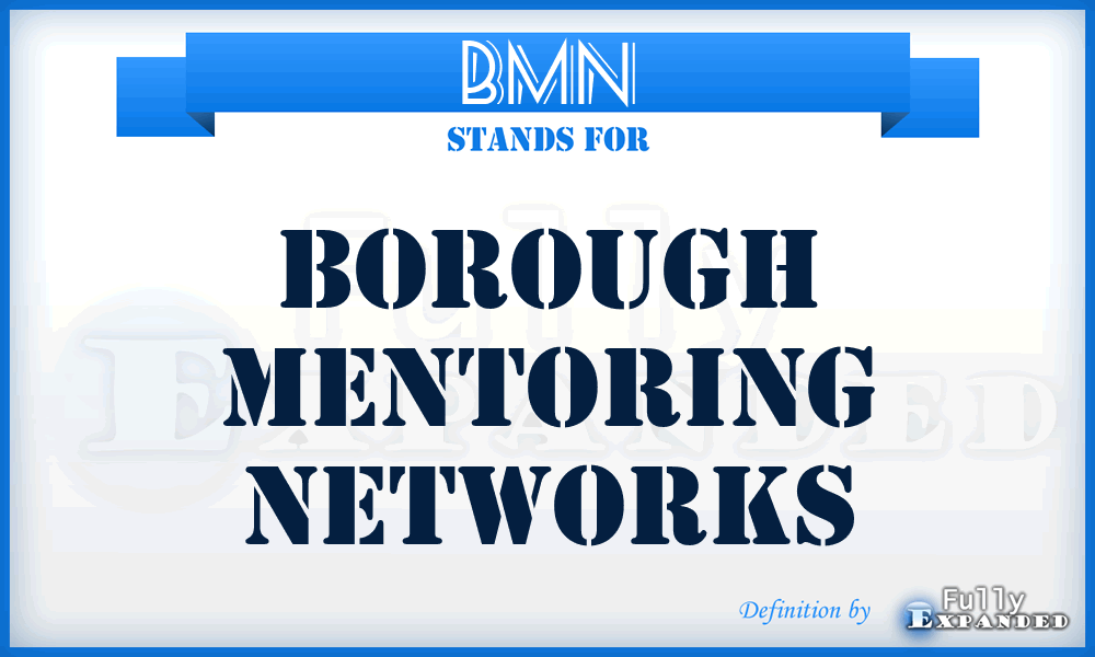 BMN - Borough Mentoring Networks
